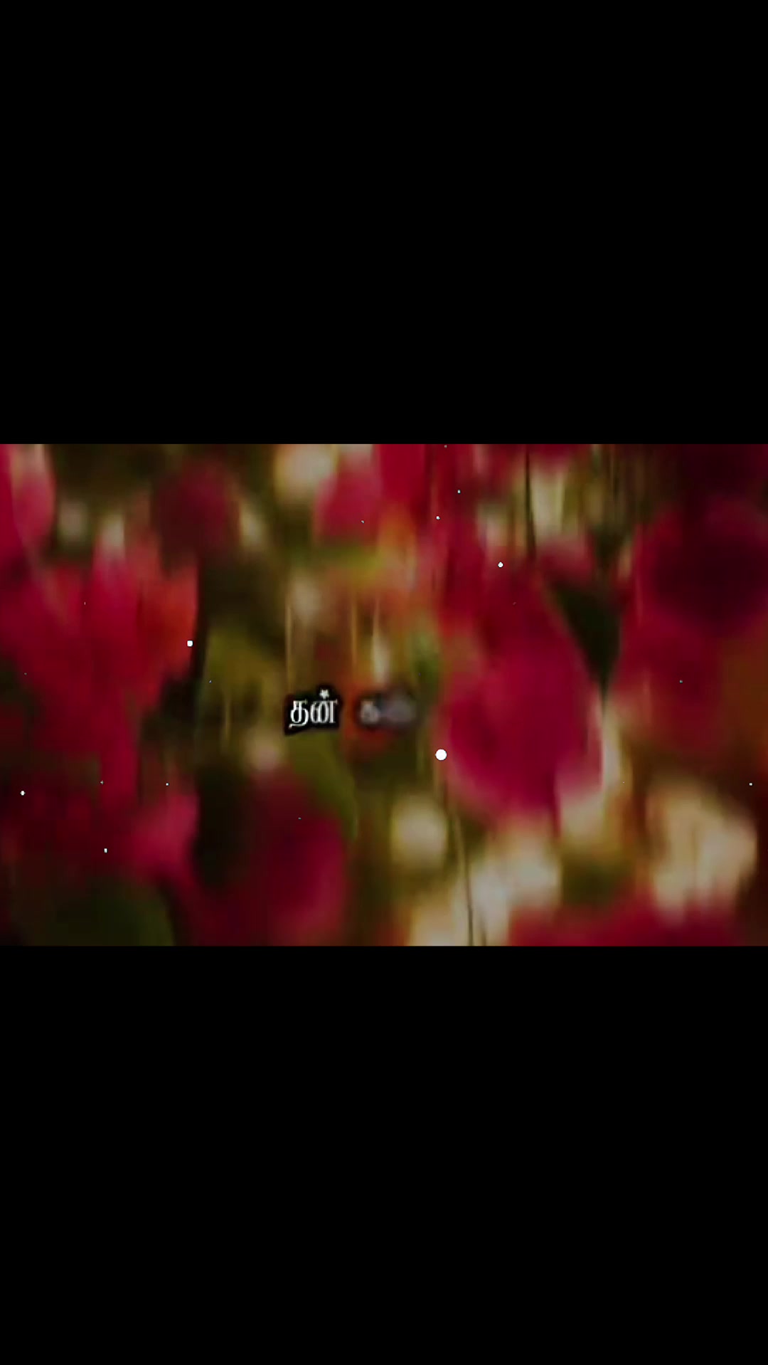 @☆꧁✬💫𝓐𝓶𝓶𝓾 💫✬꧂☆