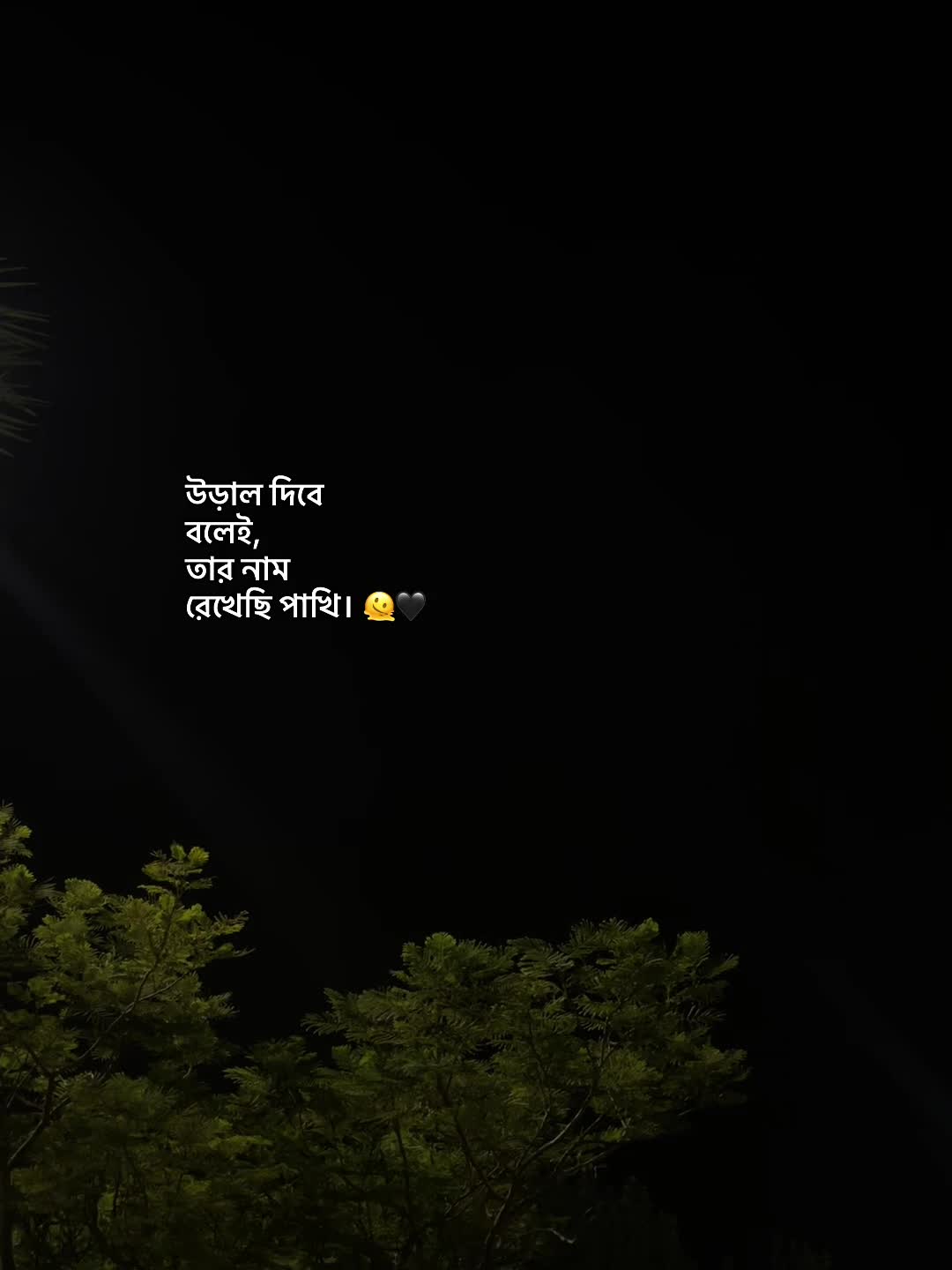 @đ đ đ đ đĨ đ¤đī¸