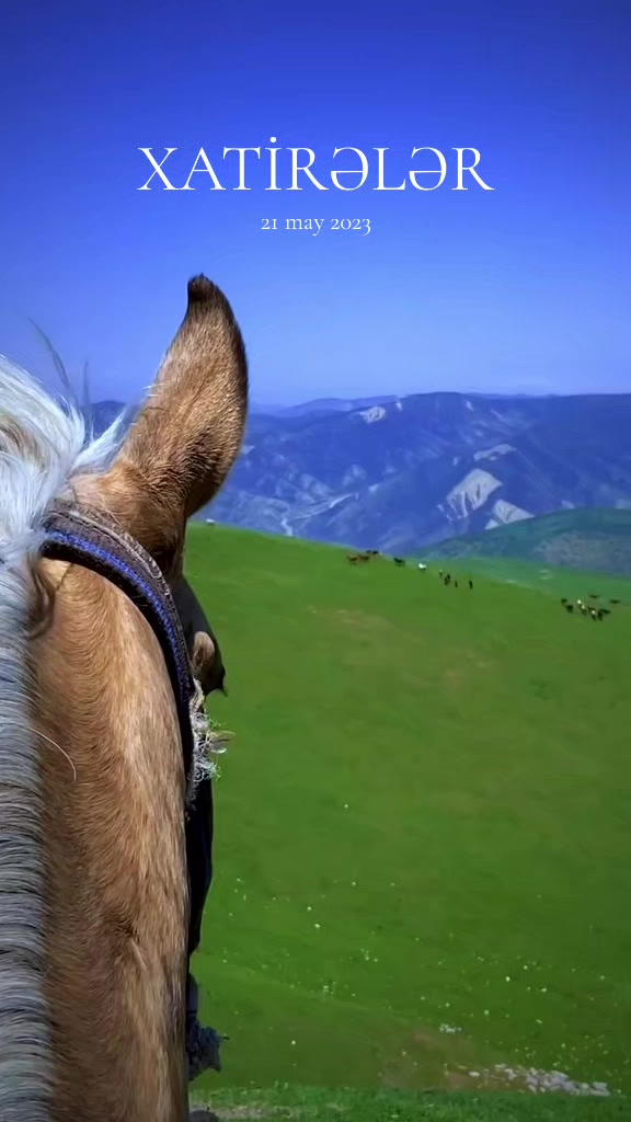 @ᐯᑌՏᗩᒪ🇦🇿ᕼᑌՏᗴYIᑎOᐯ