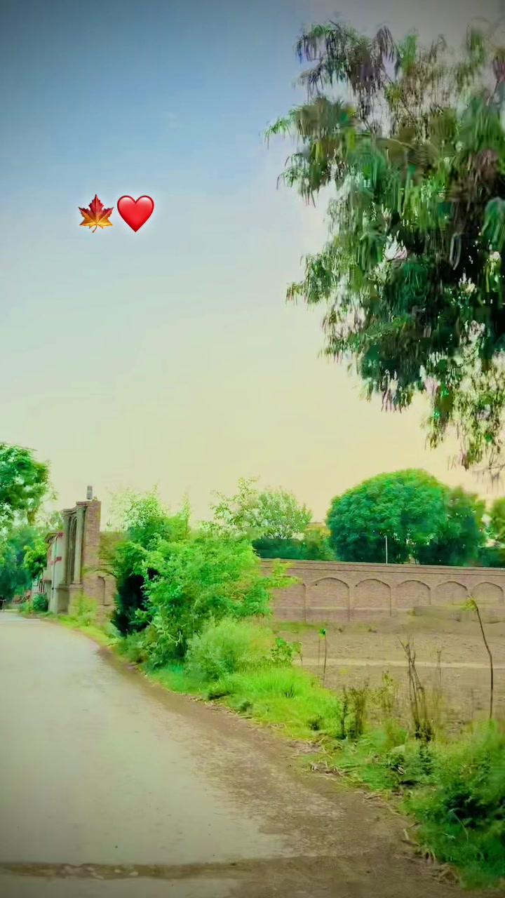 @{SHAHZIB}{KING}