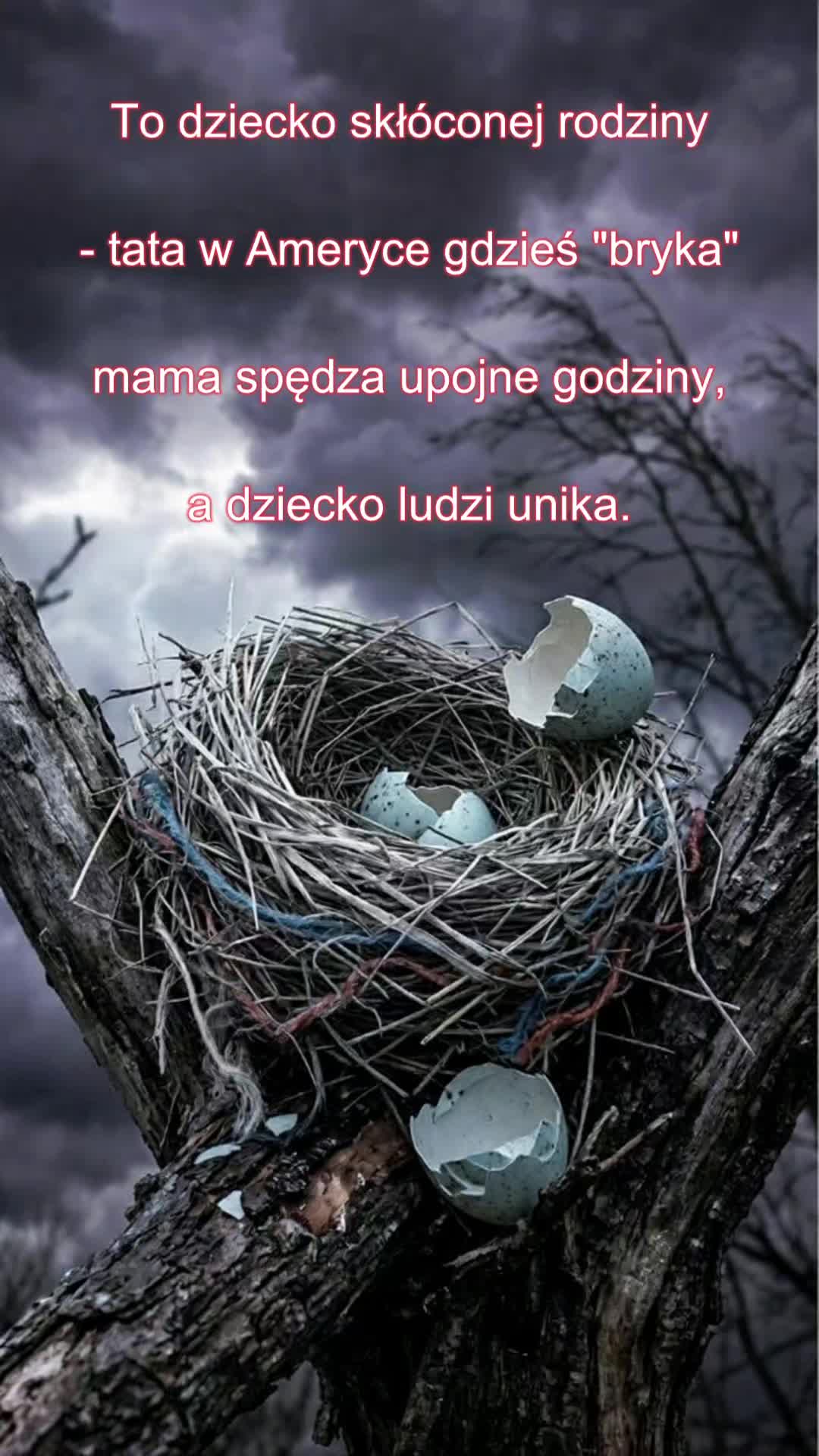 @Poezja Polska