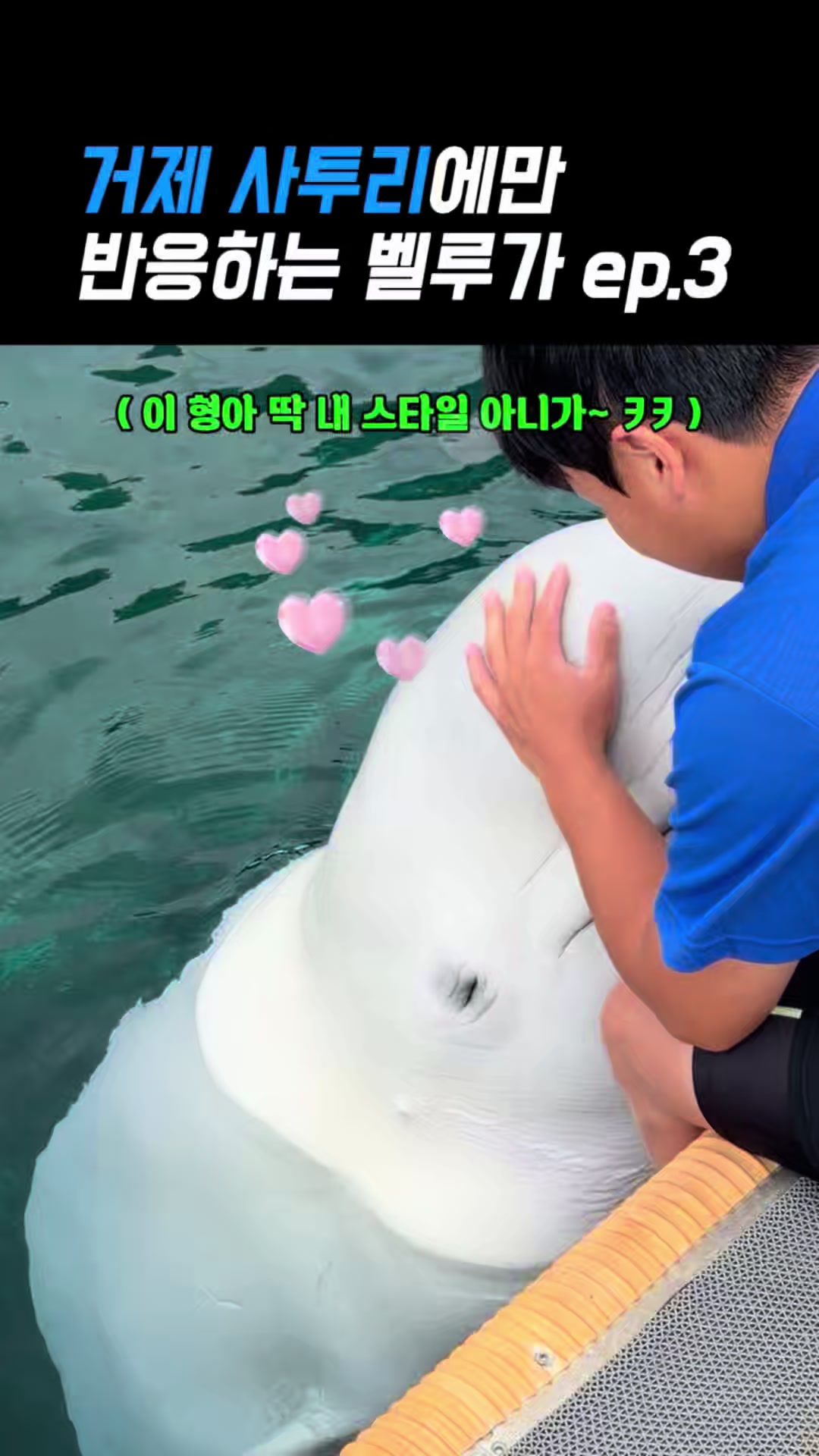 @DolphinTok