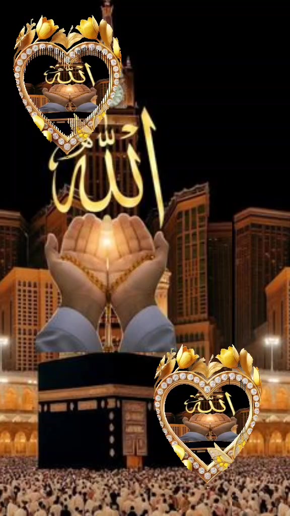 @Anis Ahmad 1122