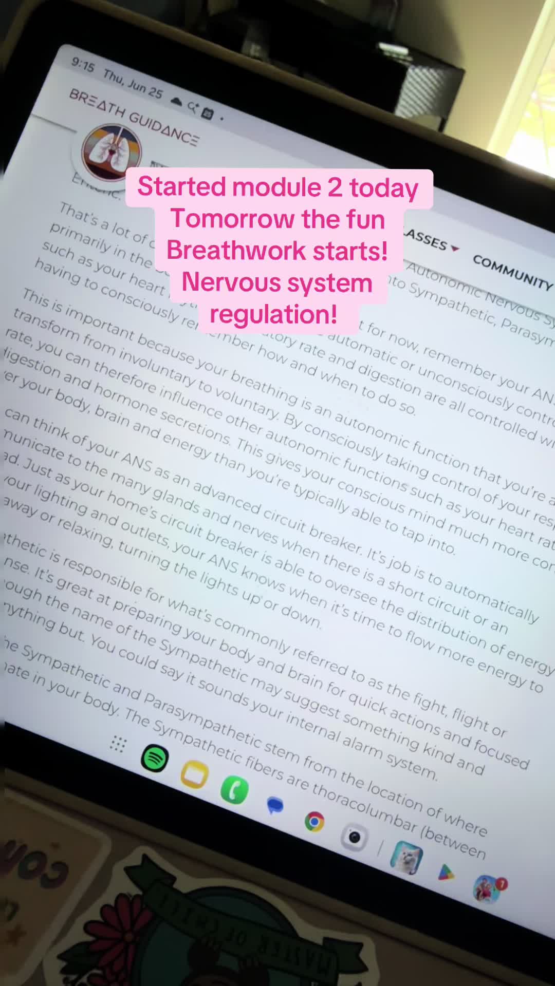 @willowinbloomwellness