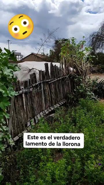 @🥳 Daguamia🥳