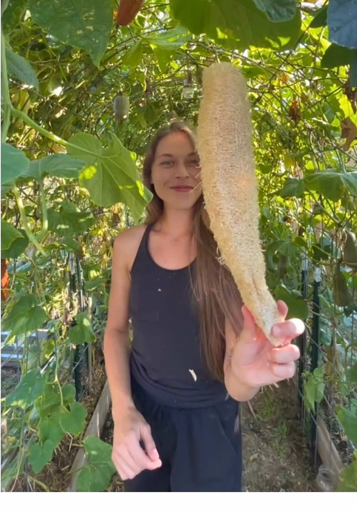 @Itsbreellis