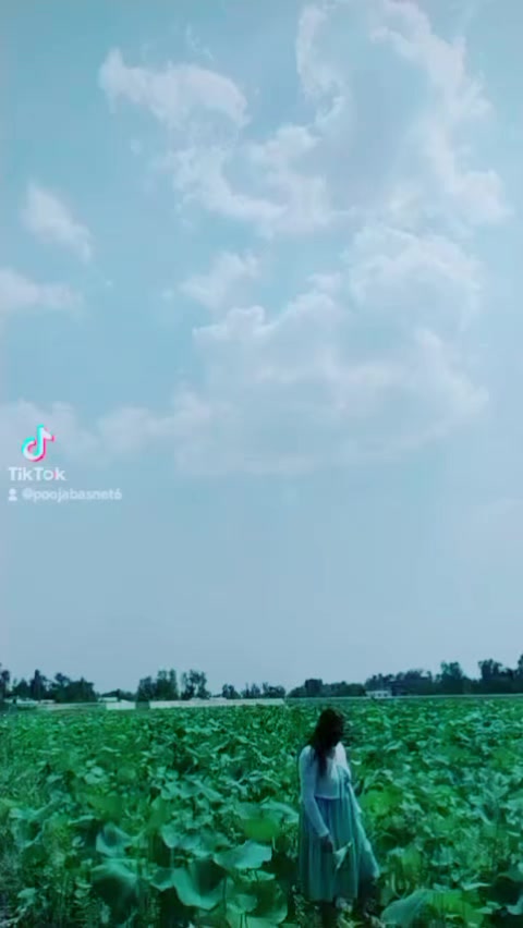 @Tika Shahi
