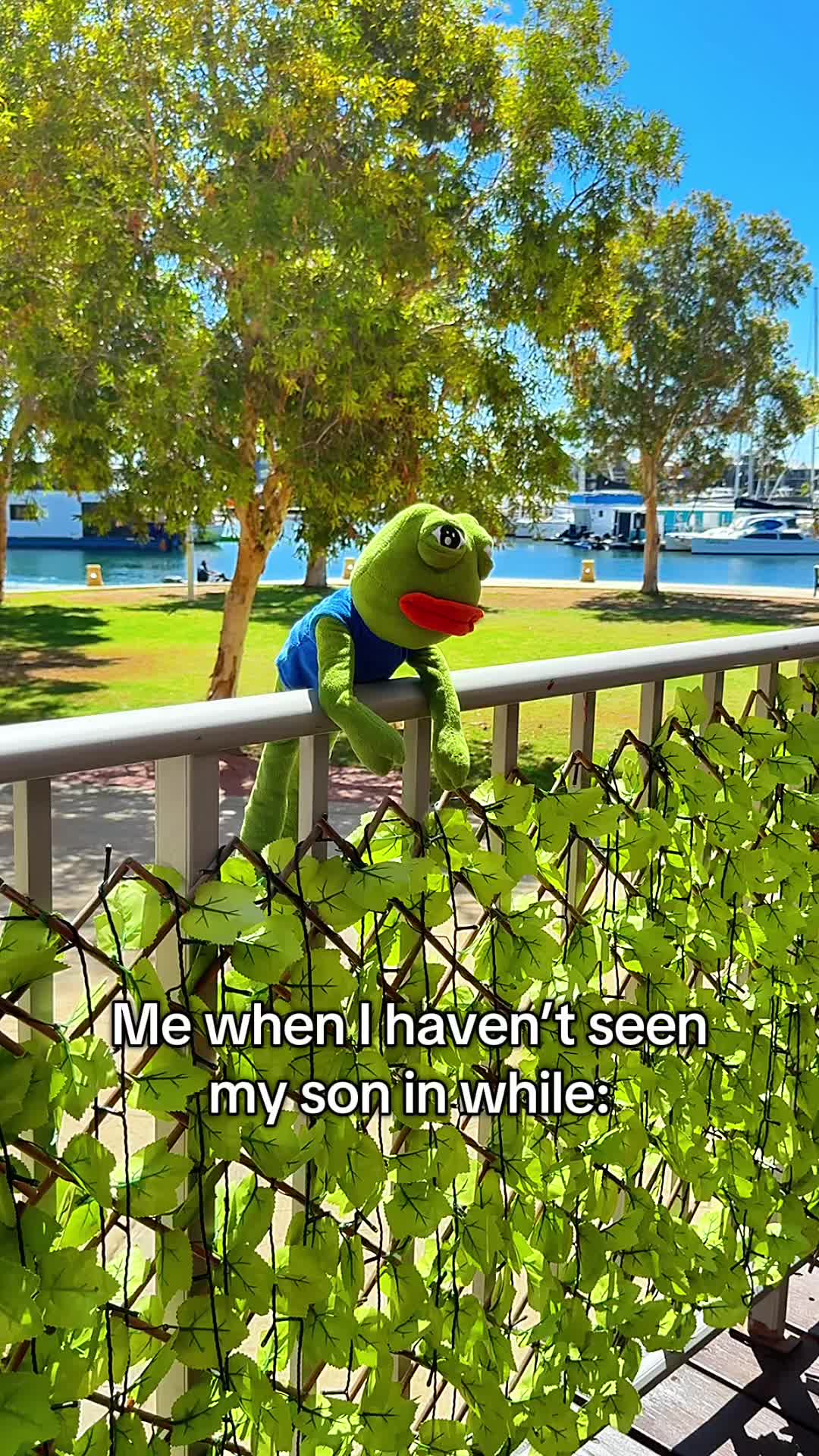 @AdoptAPepe