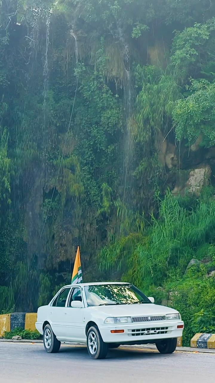 @سردار محیب