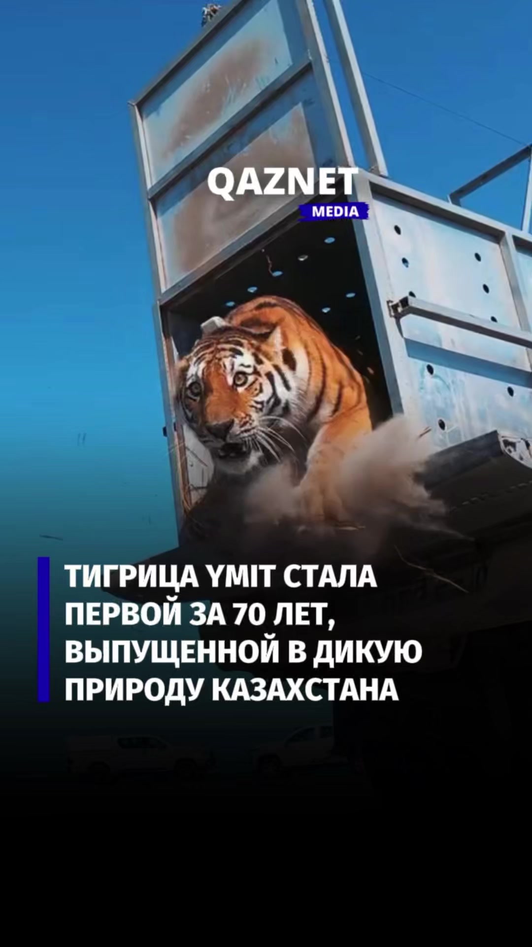 @qaznet.media