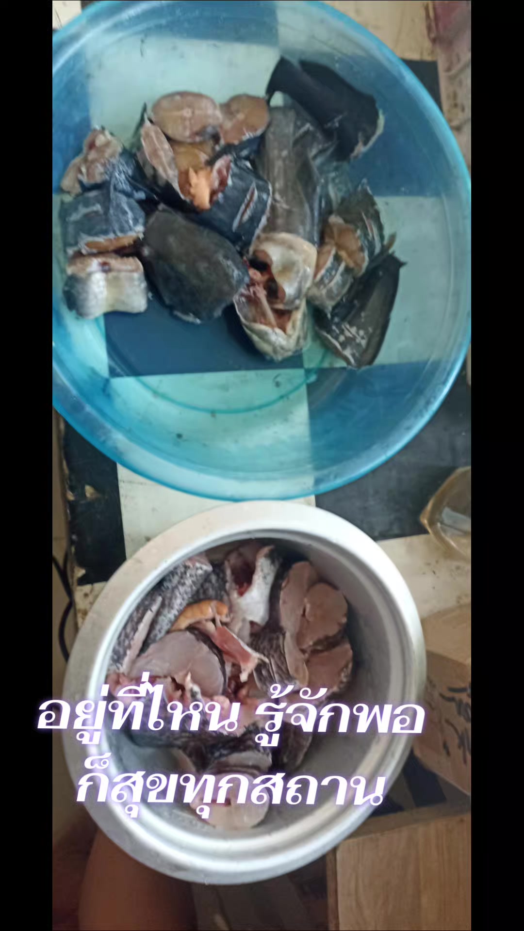 @Aบองหลาค้าทุกสิ่ง