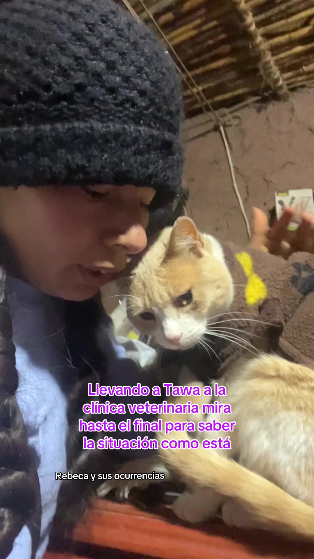 @🐈Rebeca y sus ocurrencias