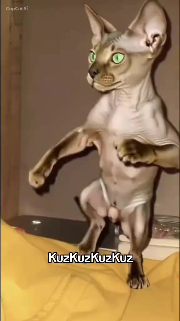 @K&ouml;m&uuml;r G&ouml;zl&uuml;m