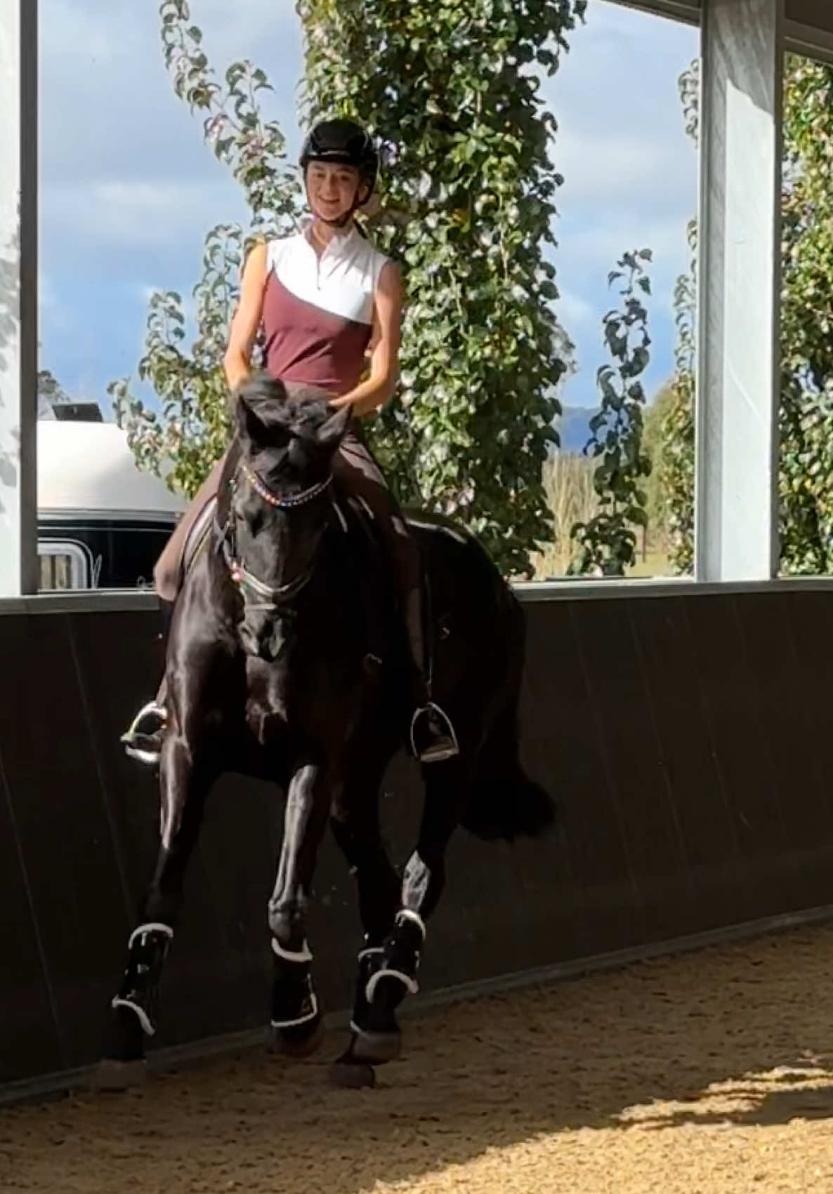 @Ash-Diaz show horses