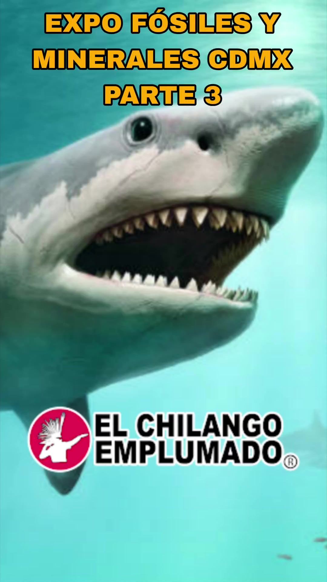 @El Anima de Coyoacan