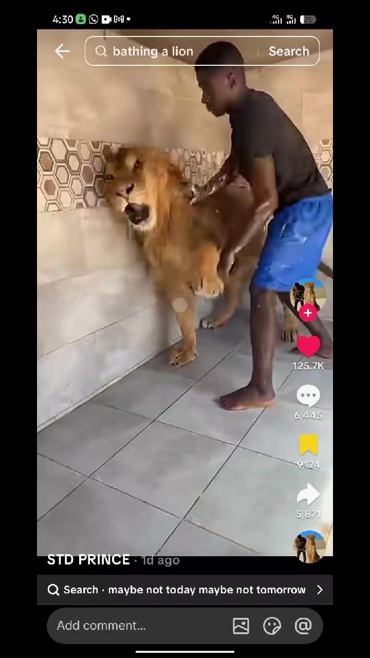 @official_daniel 🥺🛣️