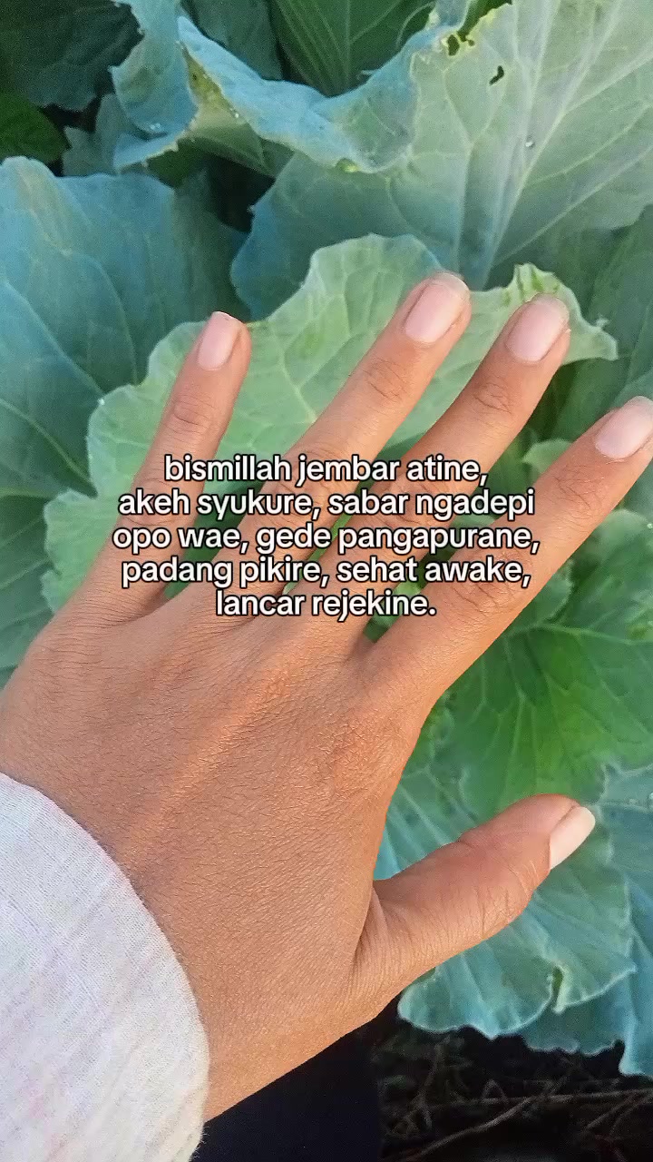 @Vhenypao🧚