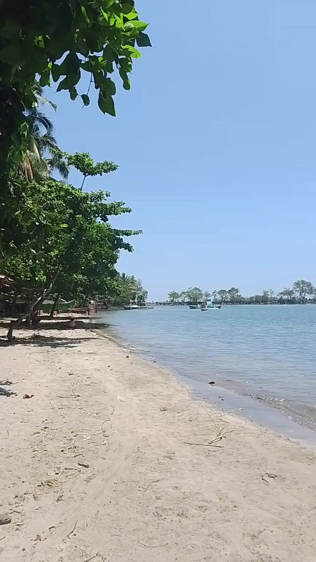 @Shakura Ku