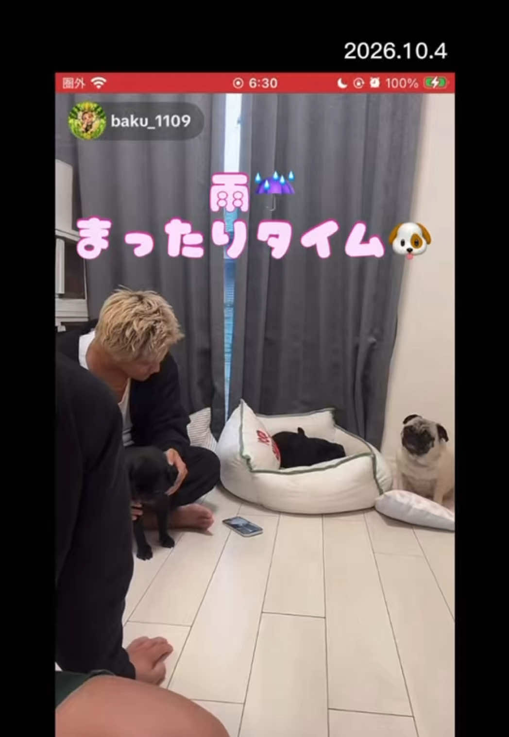 @すずか🧊🫧