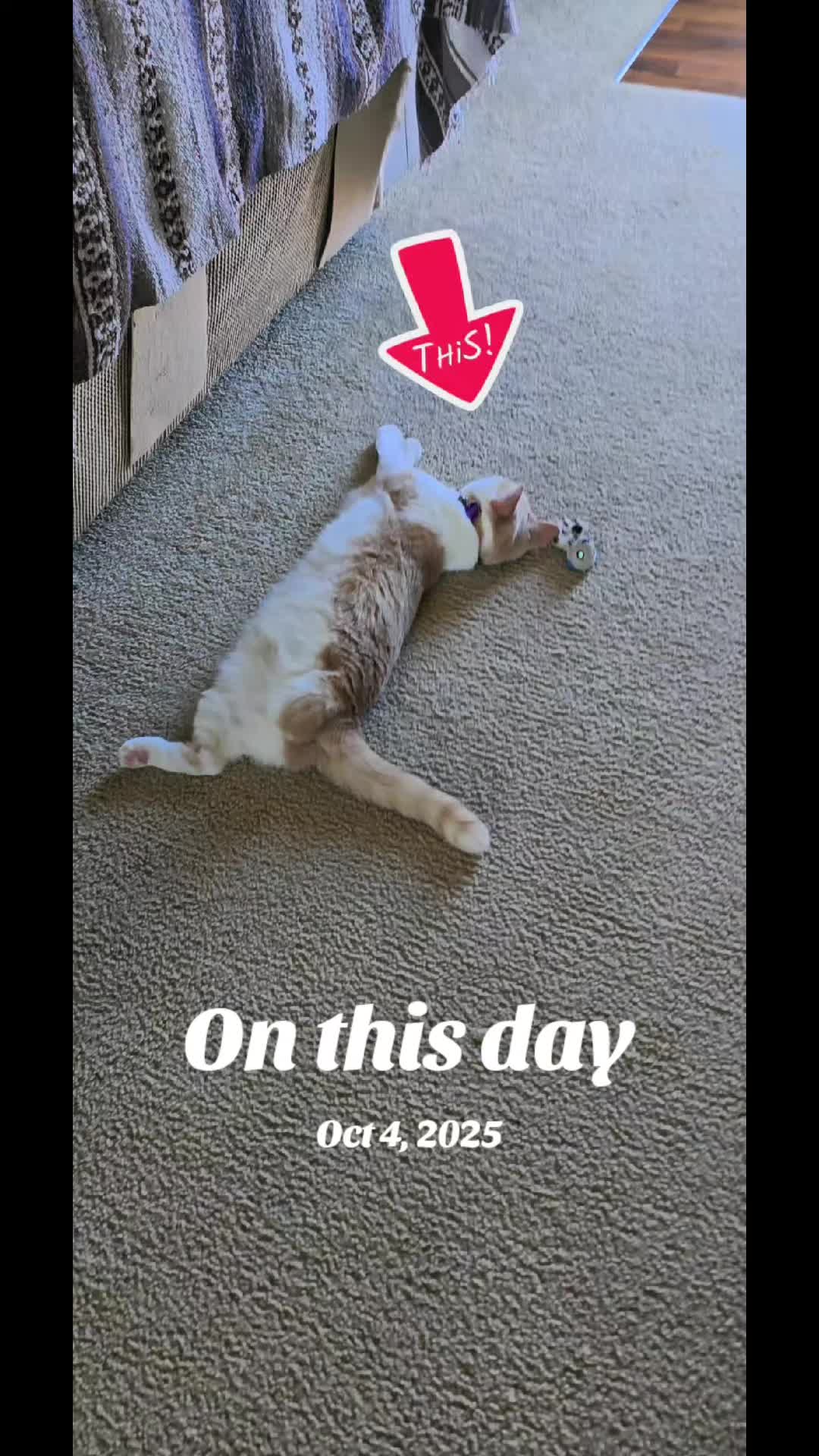 @#simonandfriends