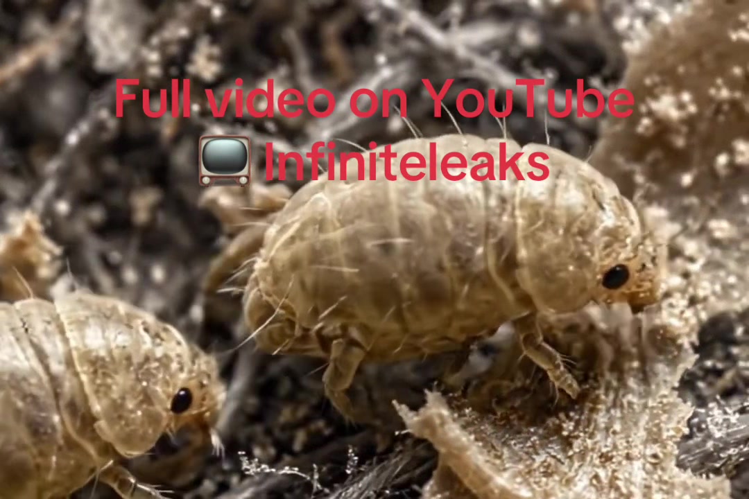 @user91395472839