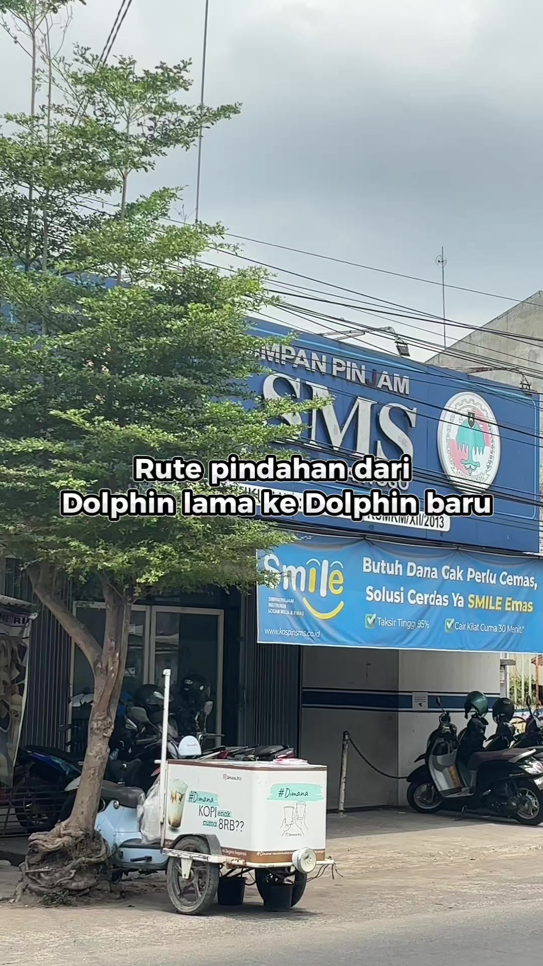@Toko Mainan Dolphin Toys