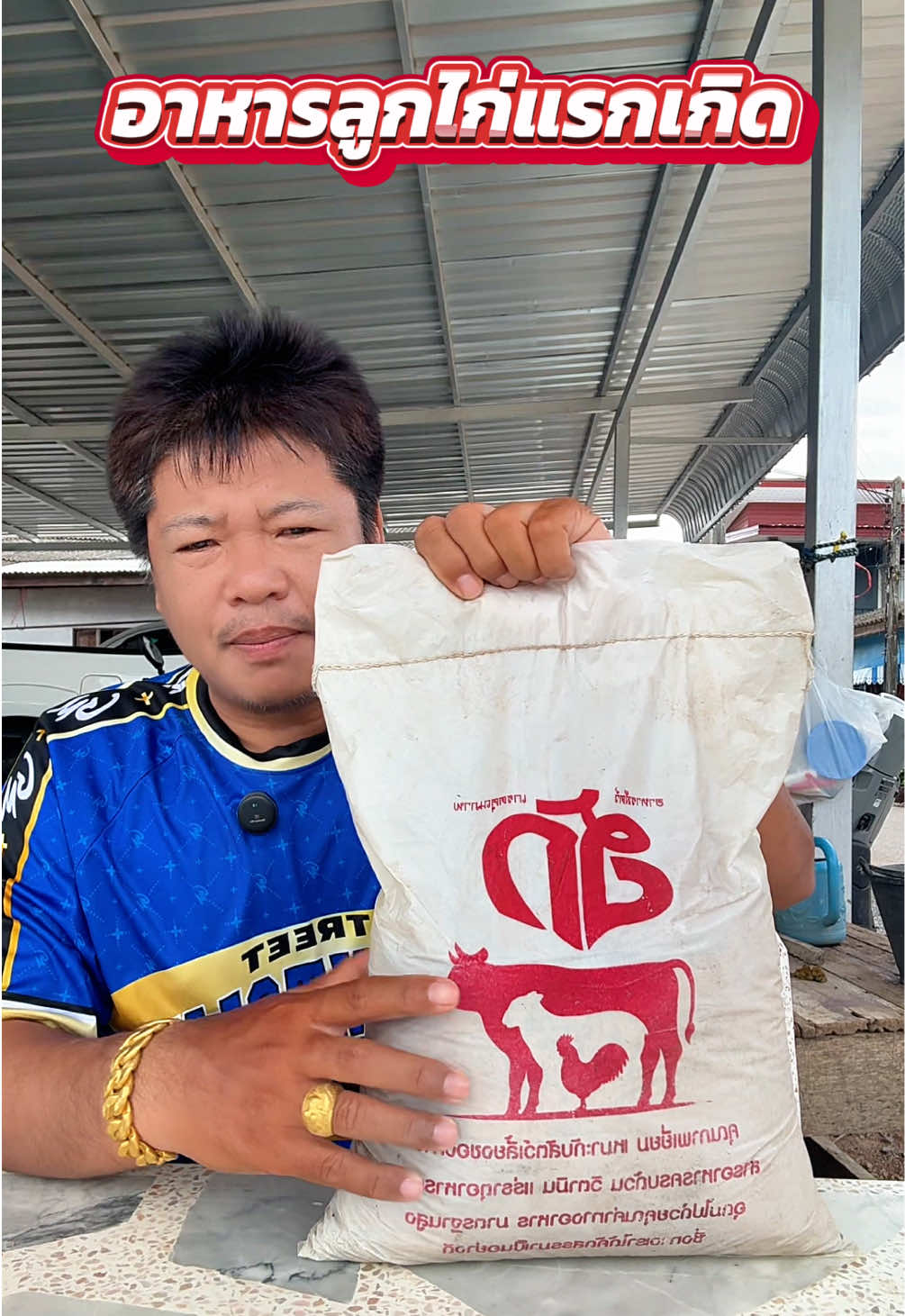 @วุดดี้ รีวิว56