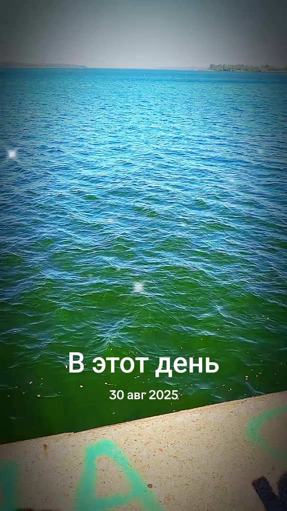 @sereqa812 Серега