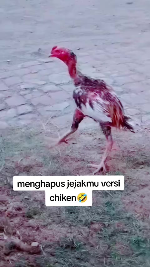 @🇬 🇴 🇷 🇴 🇳 🇹 🇦 🇱 🇴 ⚔️