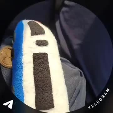@🤍𝕊𝕒𝕡𝕤𝕒𝕟𝕠𝕧𝕒🤍