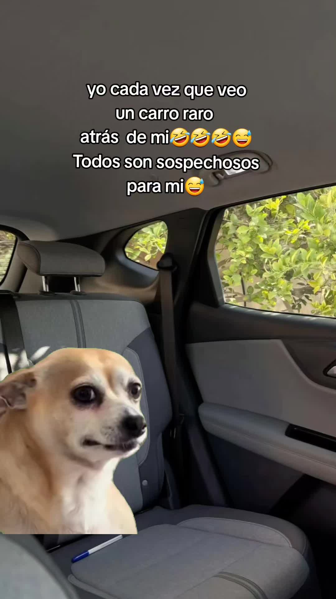@Wendolin🐈⬛🍒