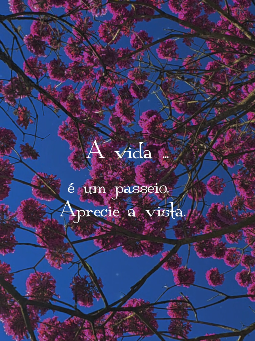 @🩷Motivação🙌Reflexão🙏