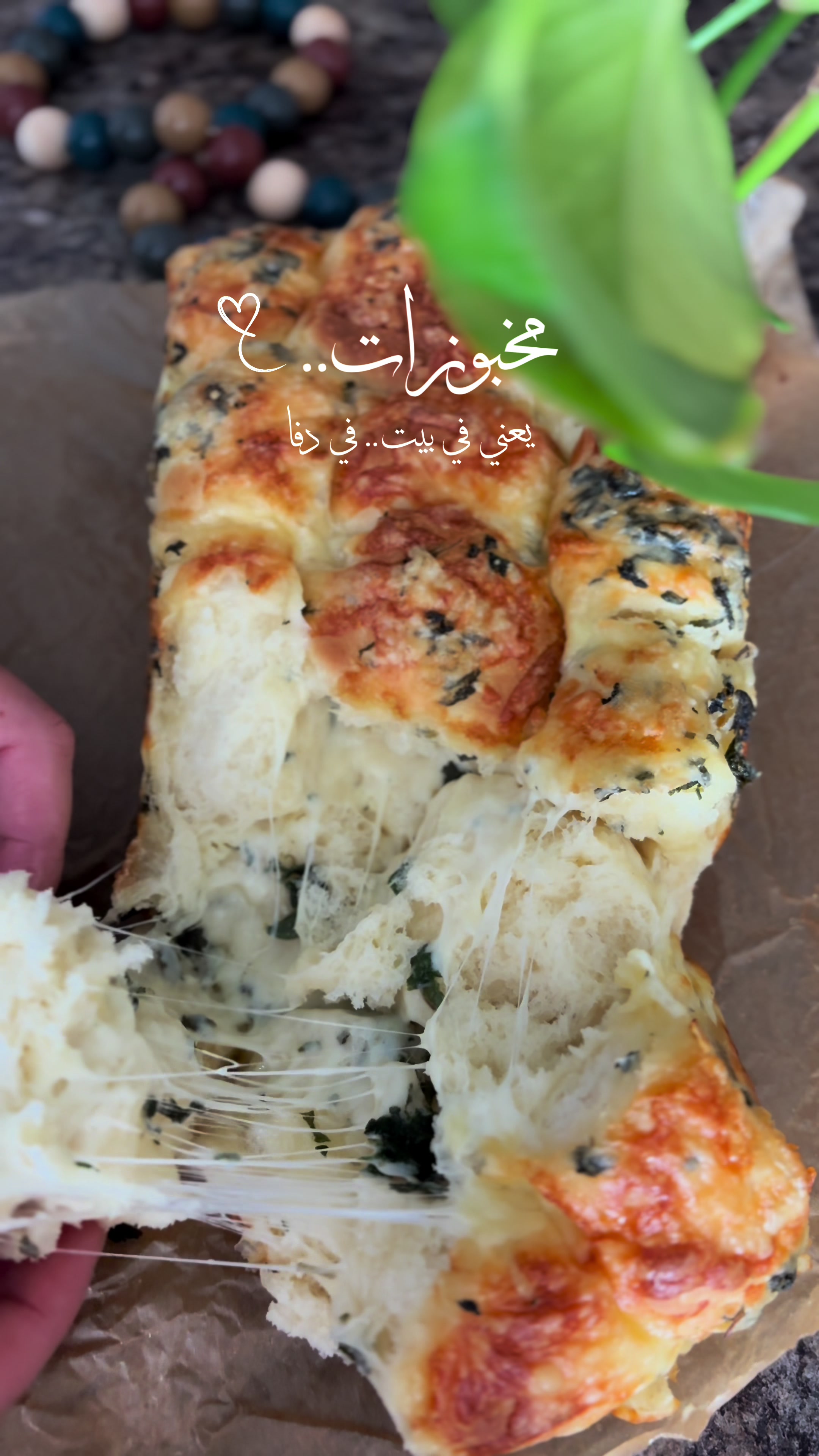 @Ruba Jaradat3