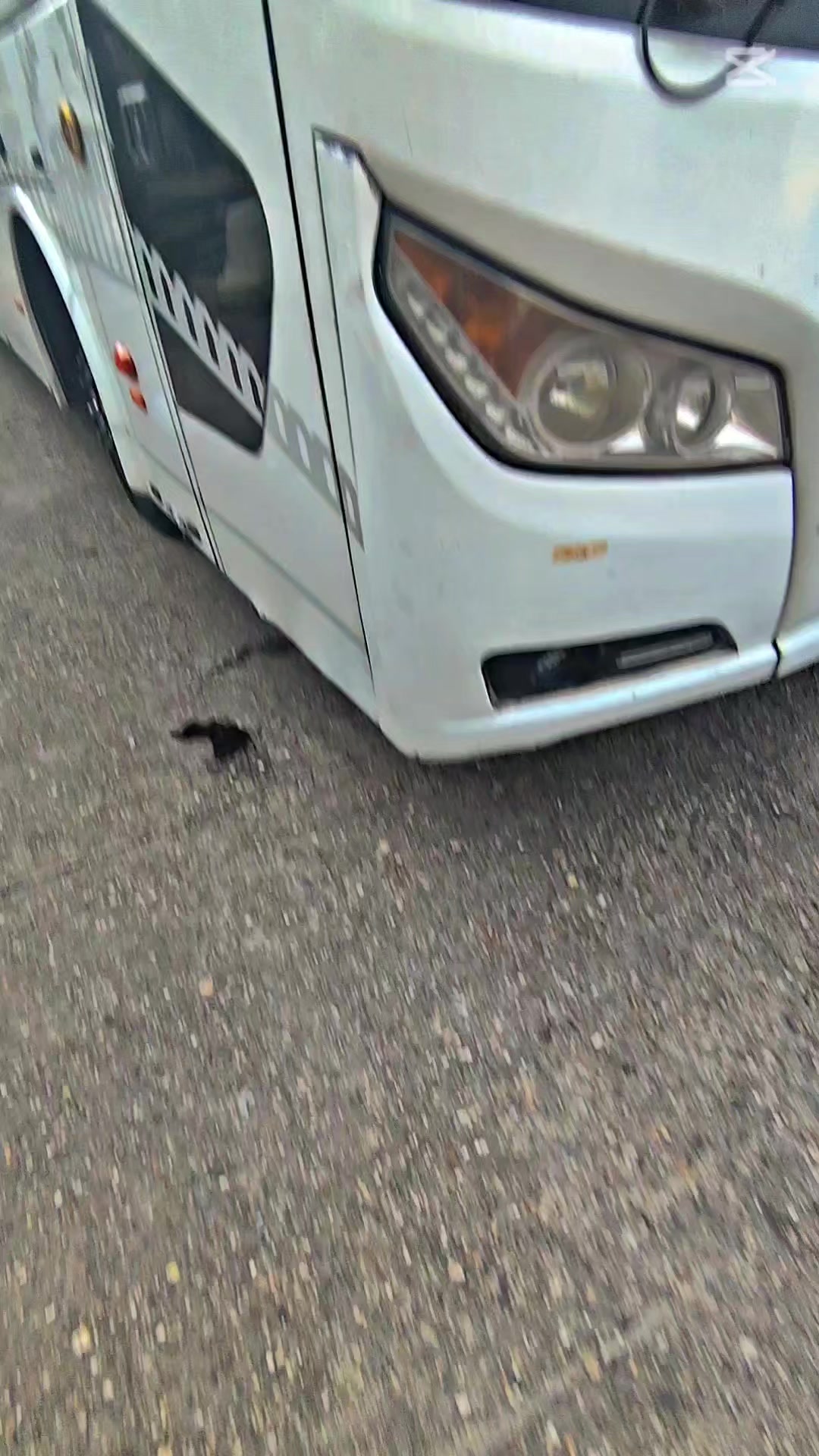 @NAYONđ°đŚ
