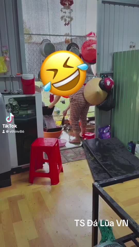 @Layout Biotope S&agrave;i G&ograve;n VTV