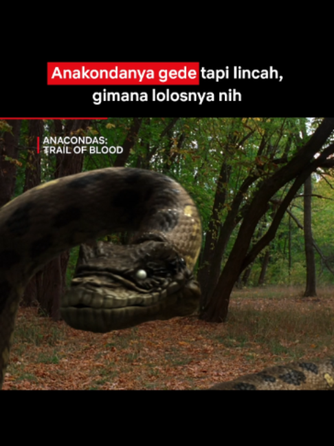 @Netflix Indonesia