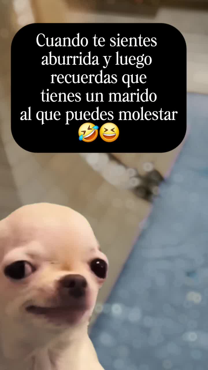 @Ｊｕｌｉｓｓａ ｋｅｌｌｙ ９２５