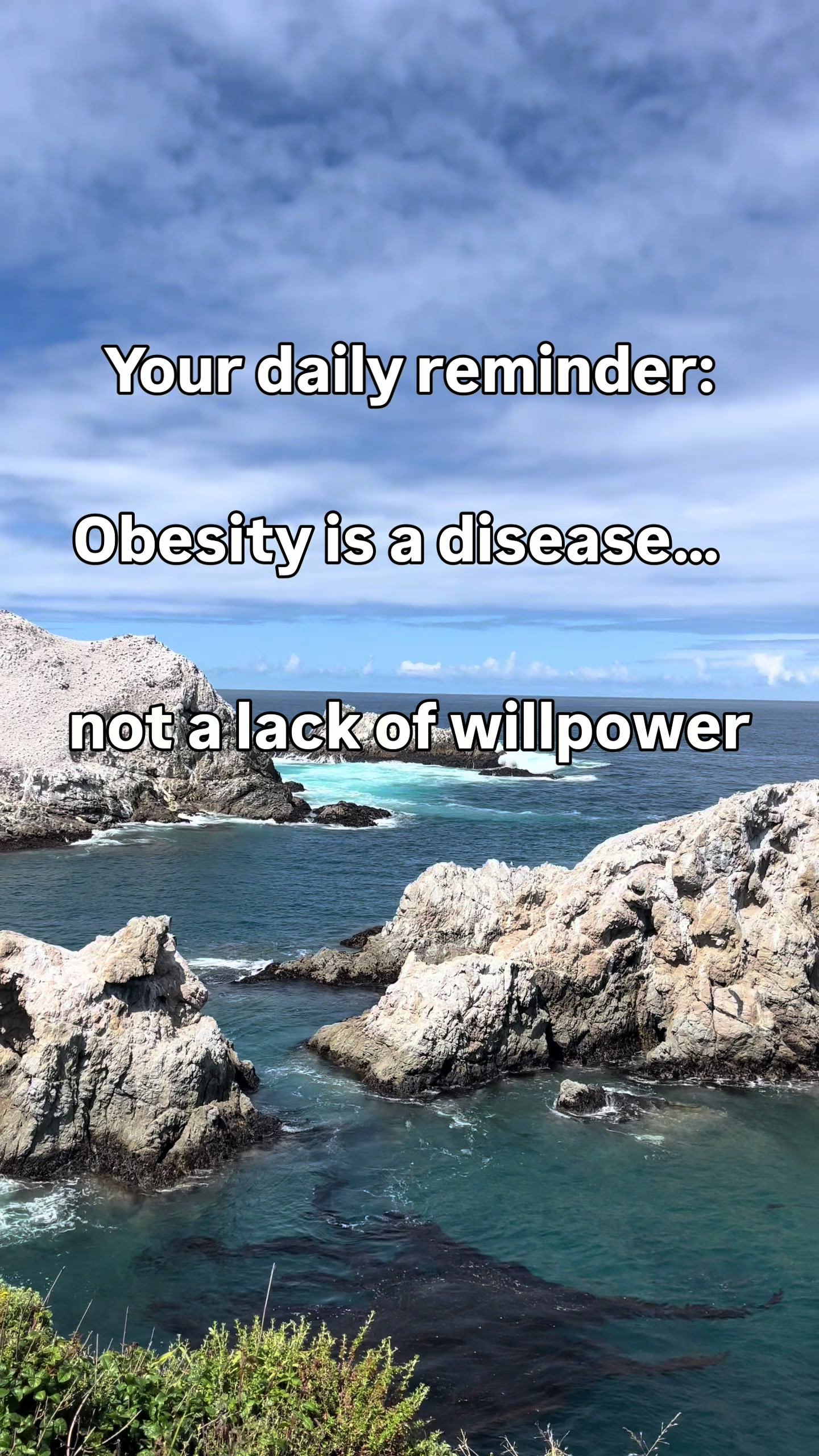@Dr. Ma | Bariatric Surgeon