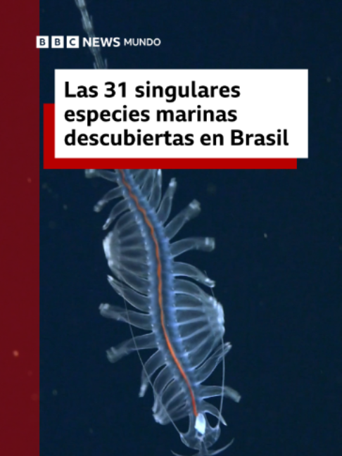 @BBC News Mundo