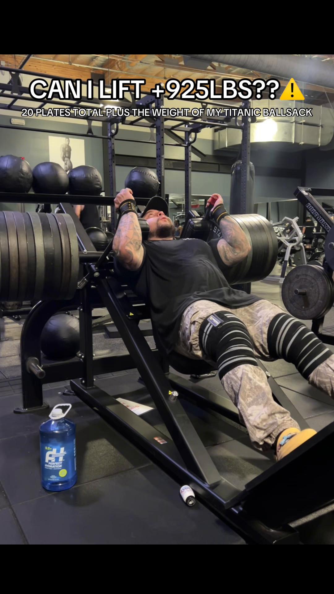 @GORILLA QUINN 🦍🇺🇸