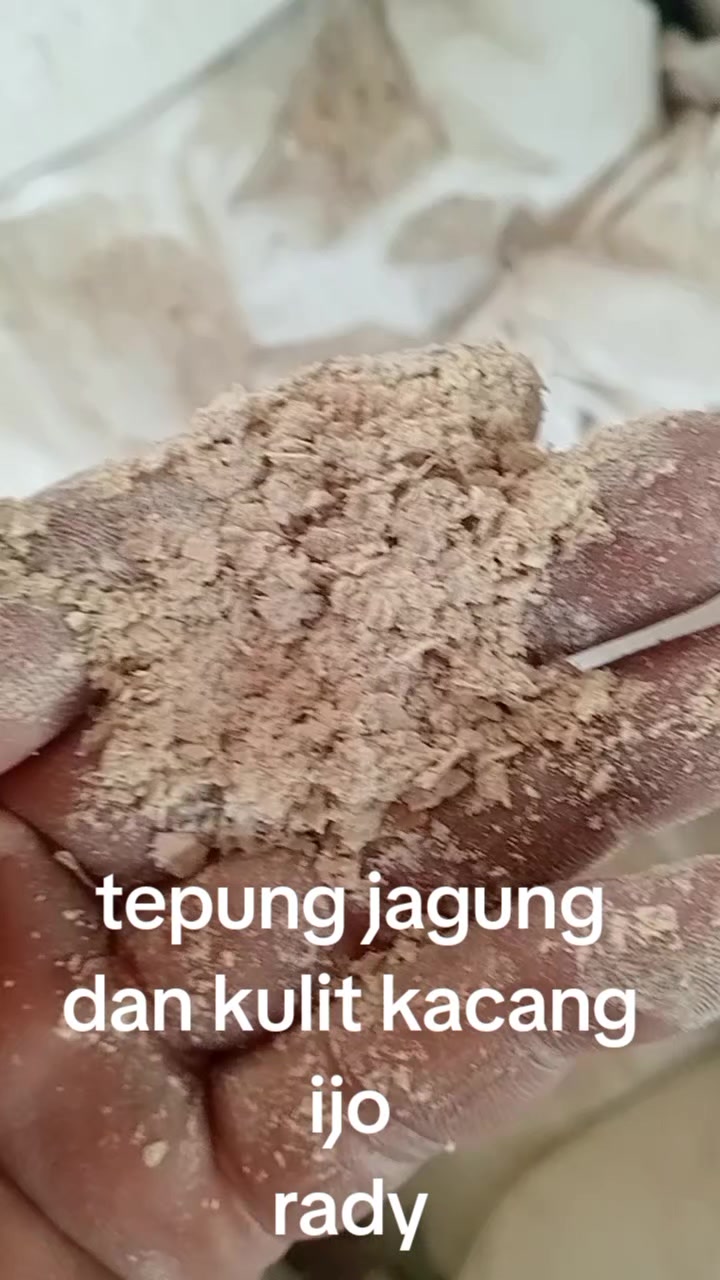 @Arifin