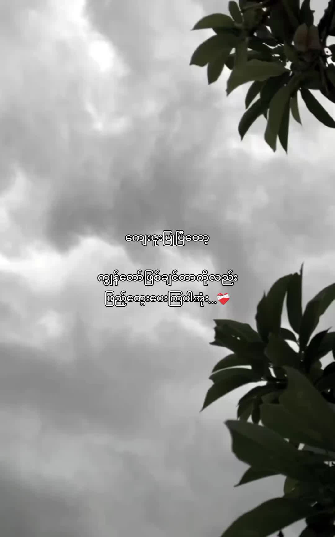 @๐ฃ๐ฅ๐๐ ๐ ๐๐ฌ๐ก๐ก ||๐ฃ๐ฅ๐ฆ๐ง