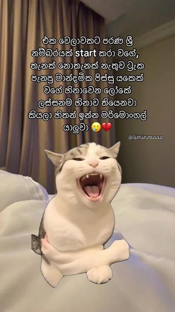 @Lisumi Jayawardana