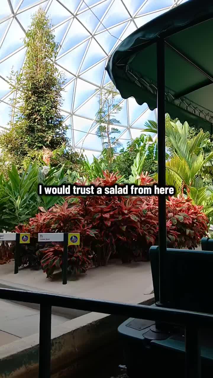 @wonderland_wanders