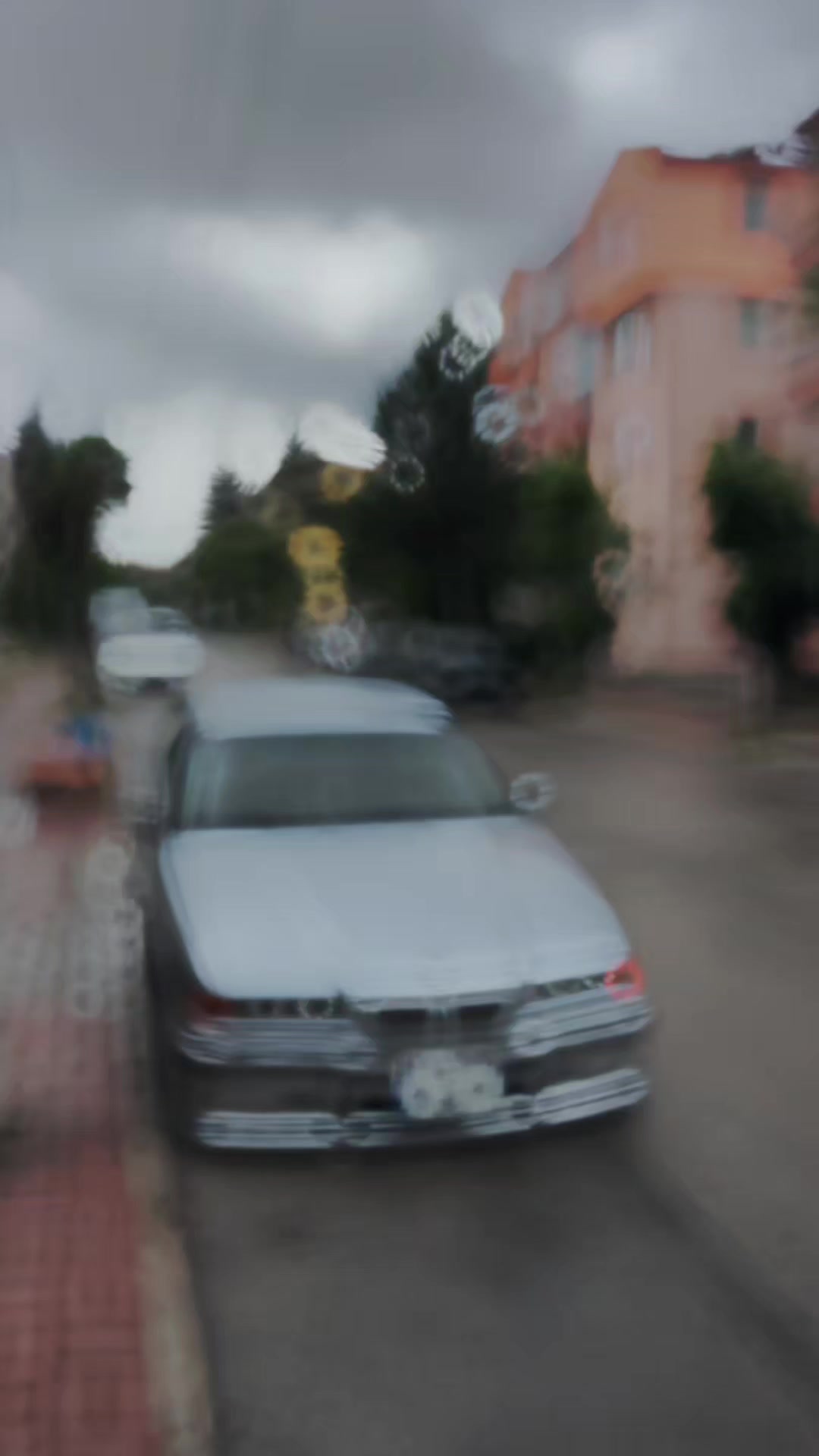 @𝐂𝐄𝐌𝐎