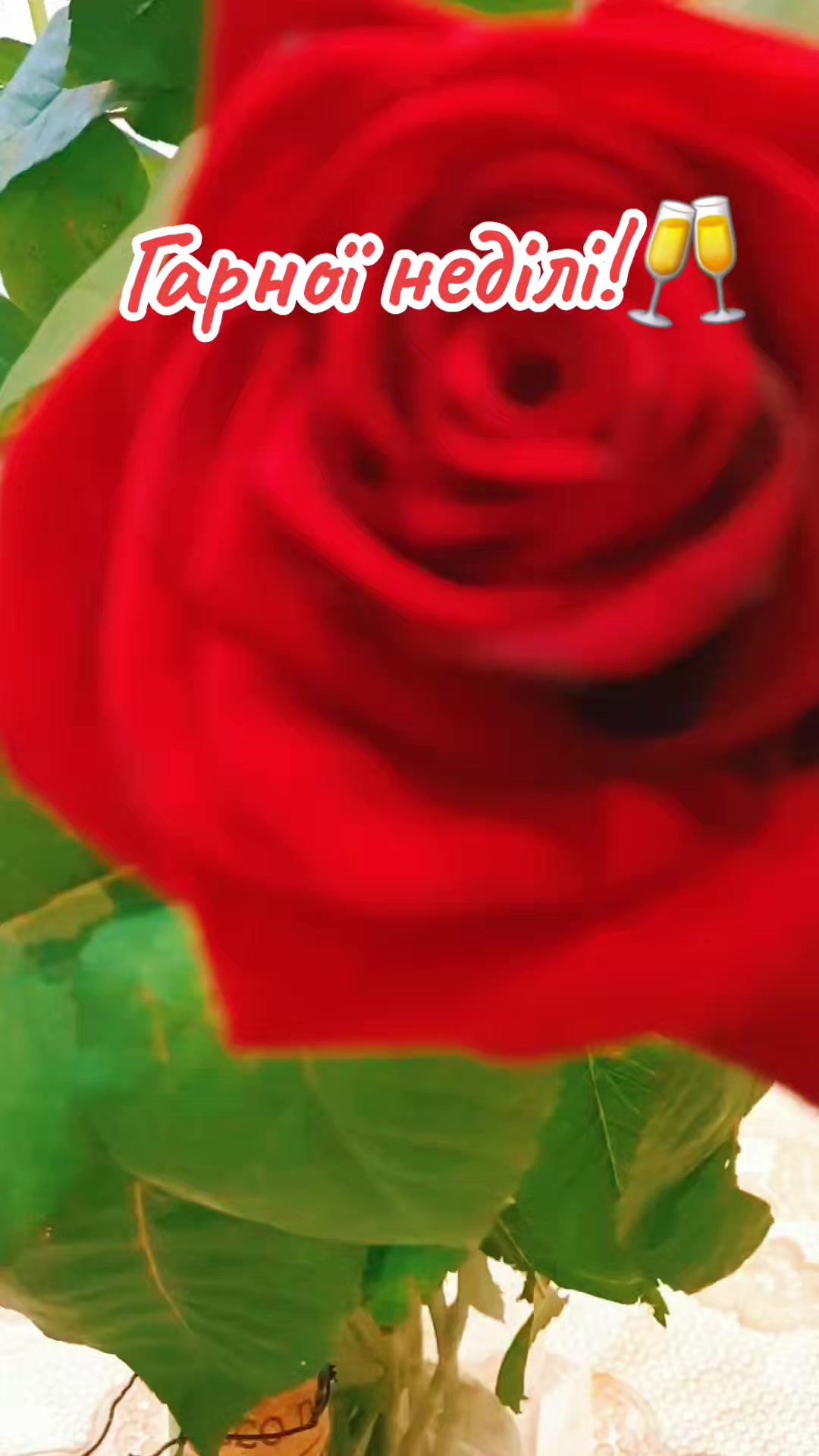 @y.nikolaevich