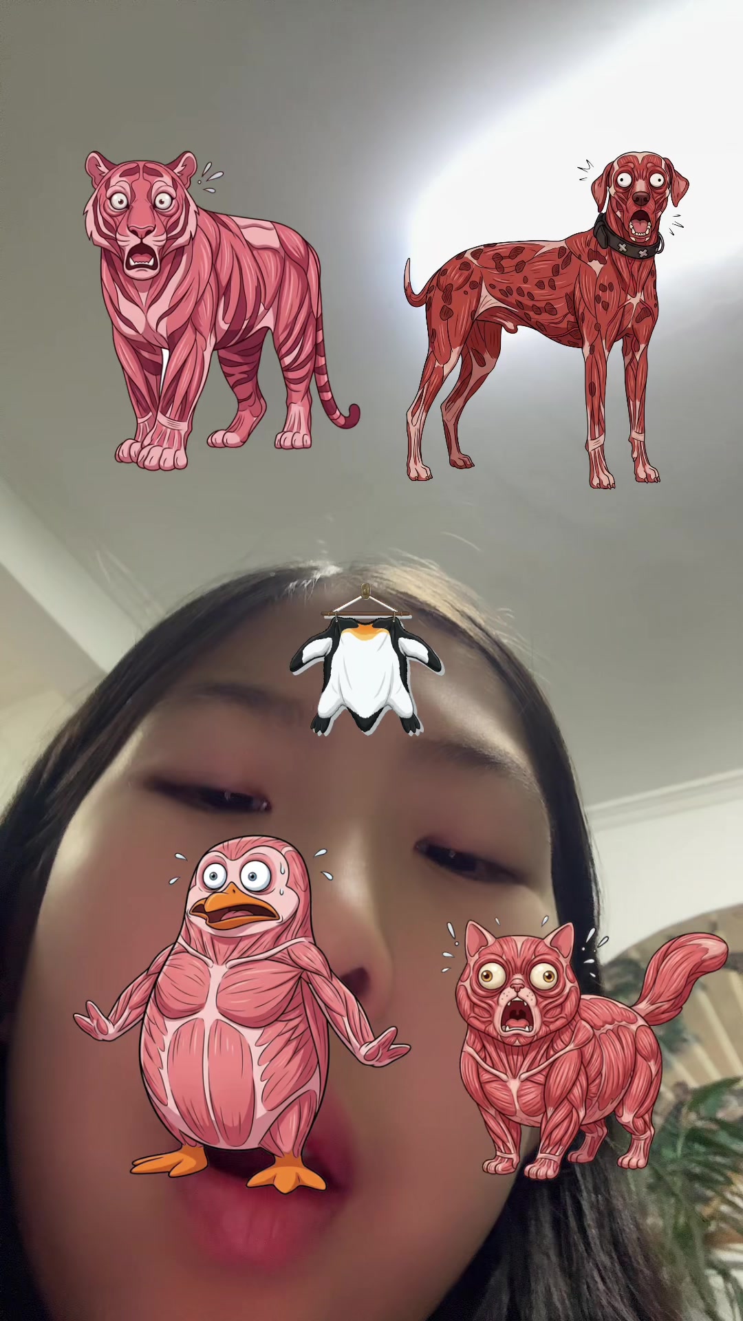 @Keke🦭
