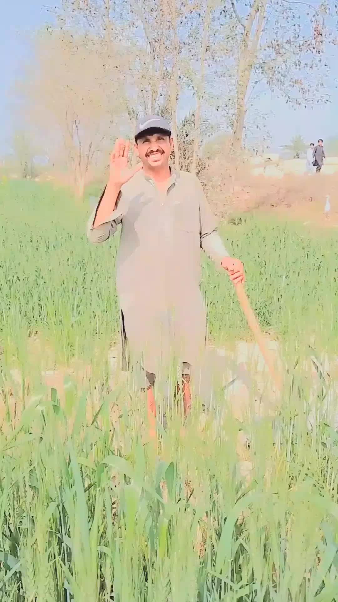 @پھول بھیاء🌹