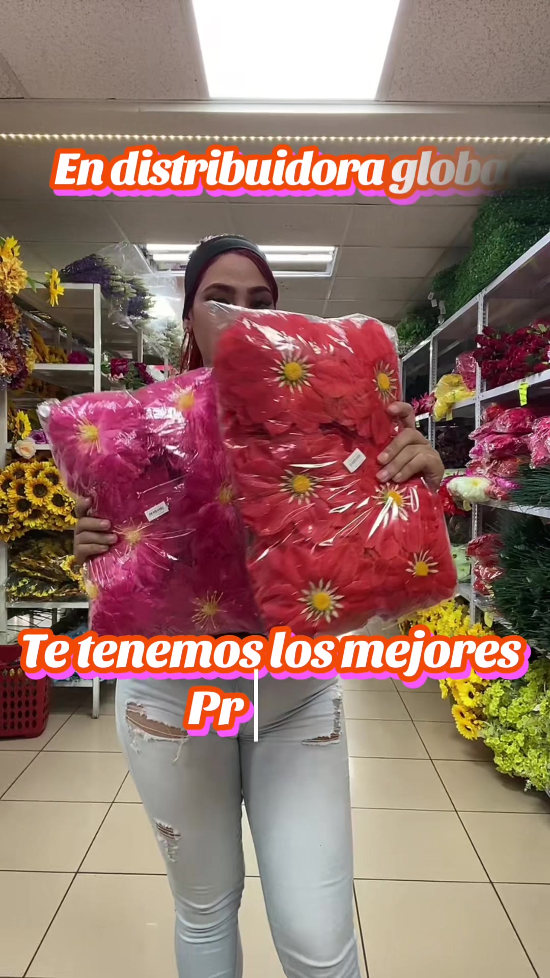 @Distribuidora Global