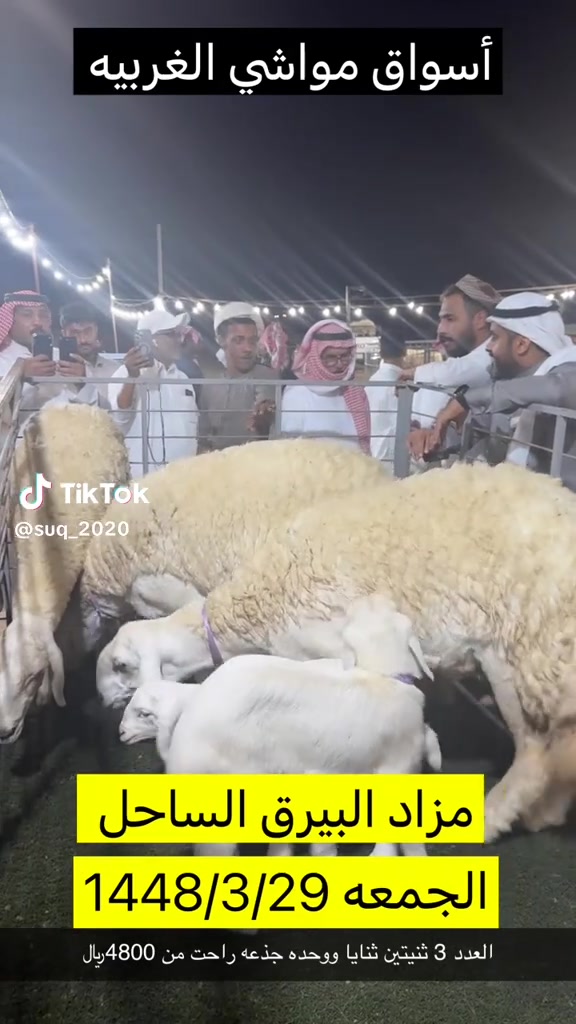 @mohamed_ksa0